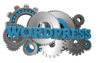 wordpress tip
