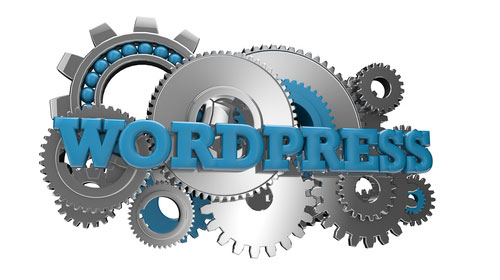 wordpress tip